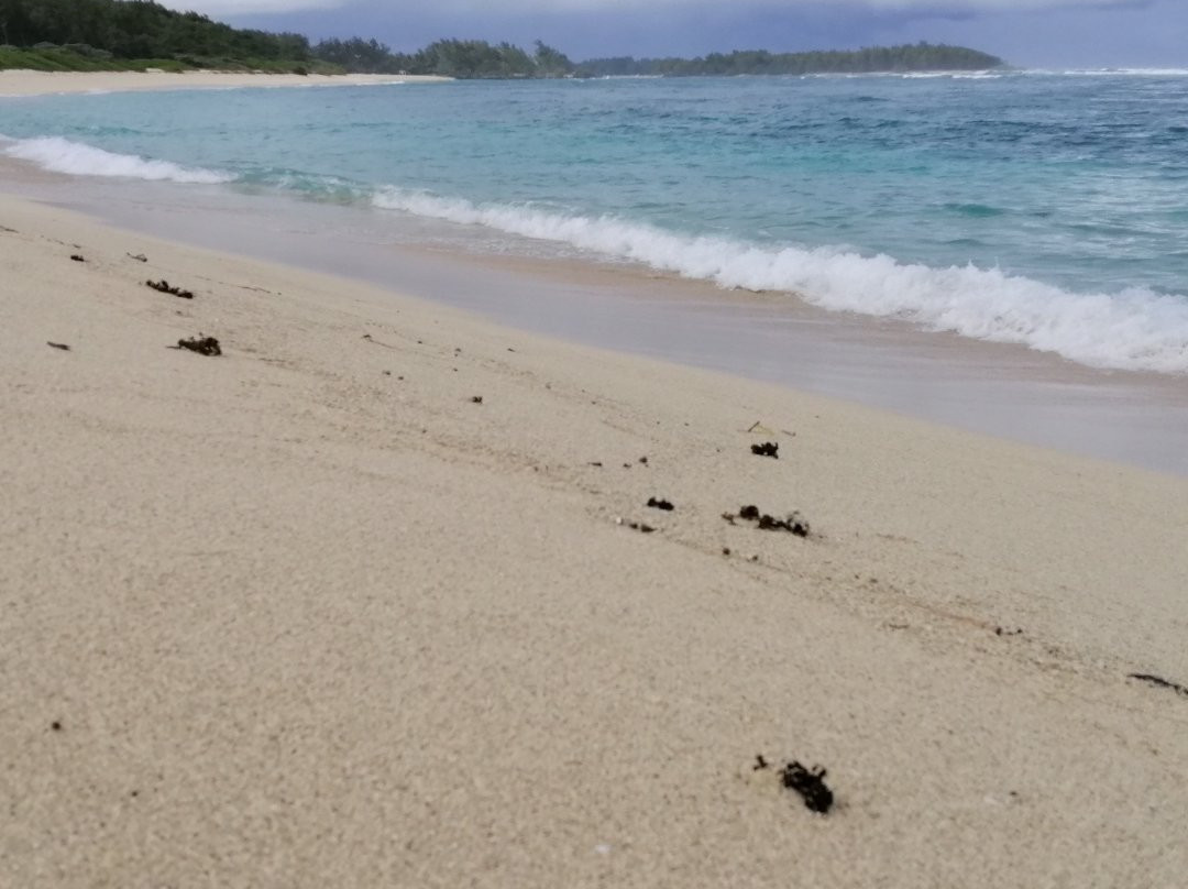 La Cambuse Beach-Le Bouchon必去景点