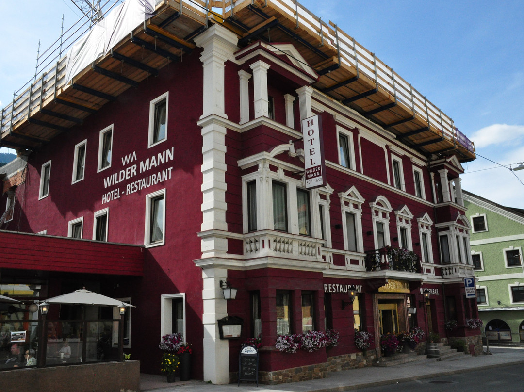 Hotel Wilder Mann主图