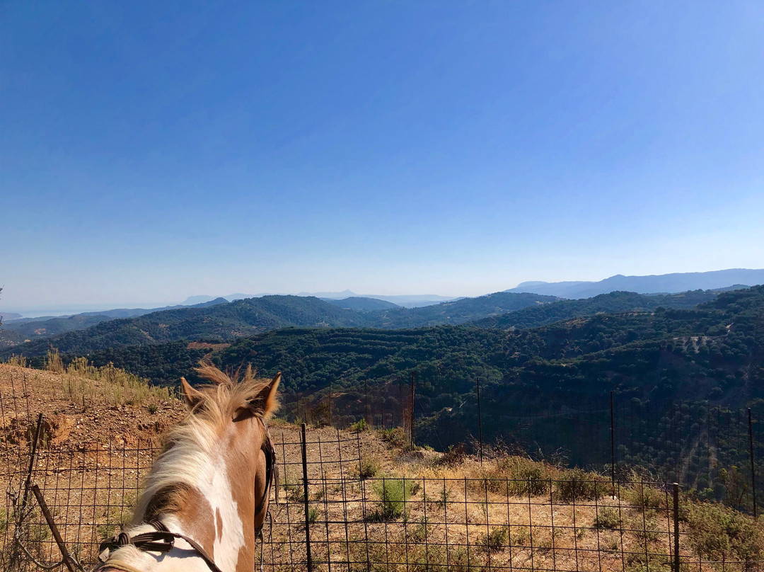 Deres Horse Riding Center景点图片