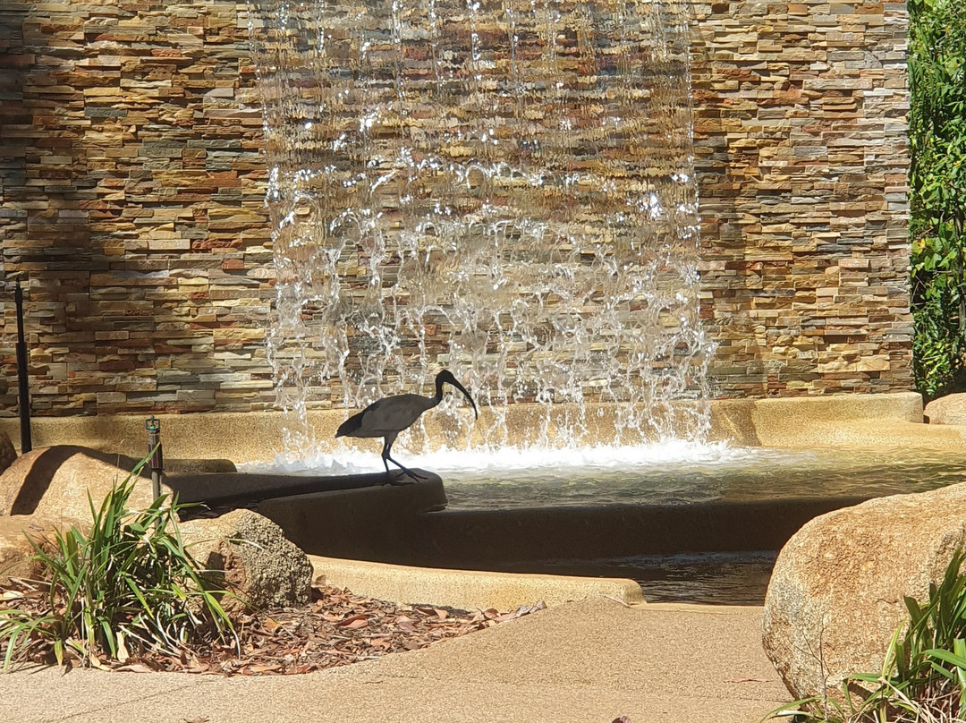 Berry Springs Nature Park景点图片