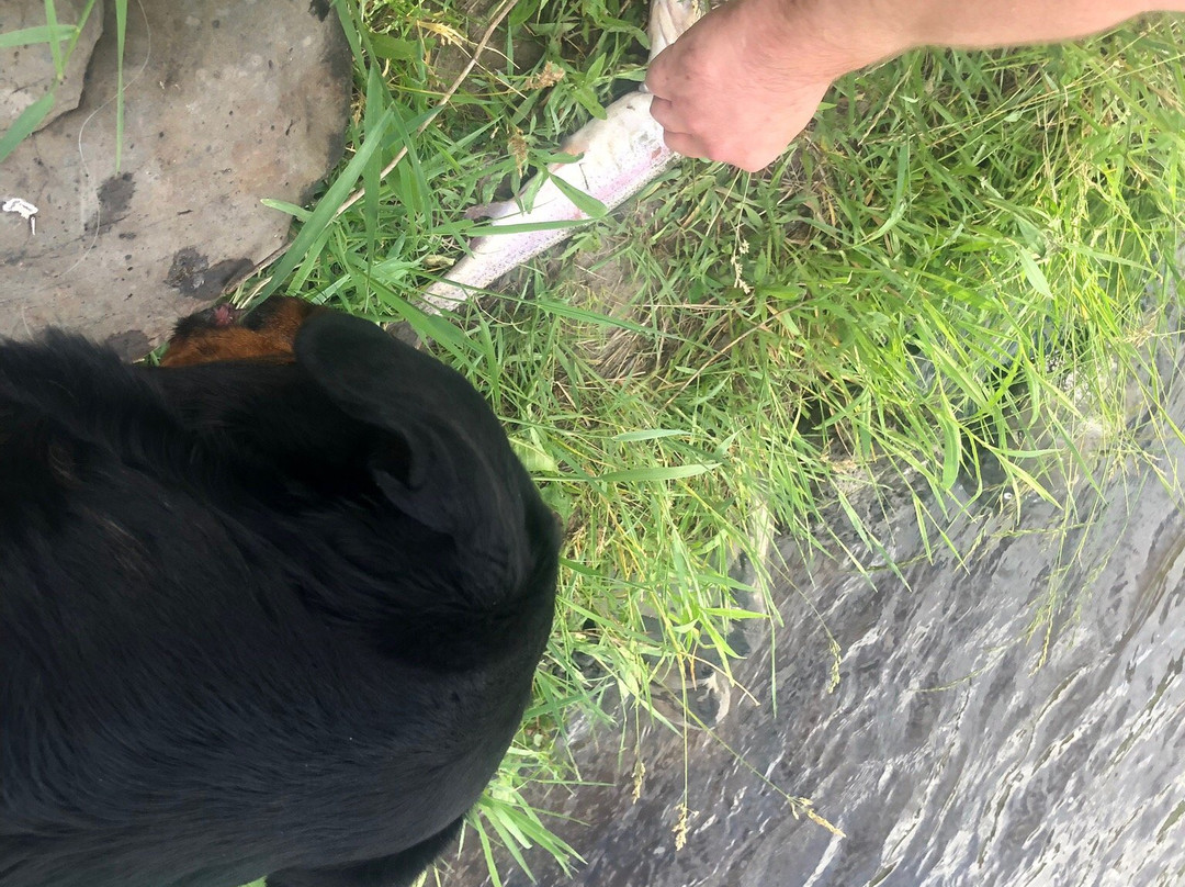 X Diamond & MLY Ranch主图