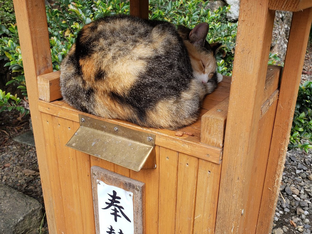 Karasawayama Jinja Shrine-佐野市必去景点