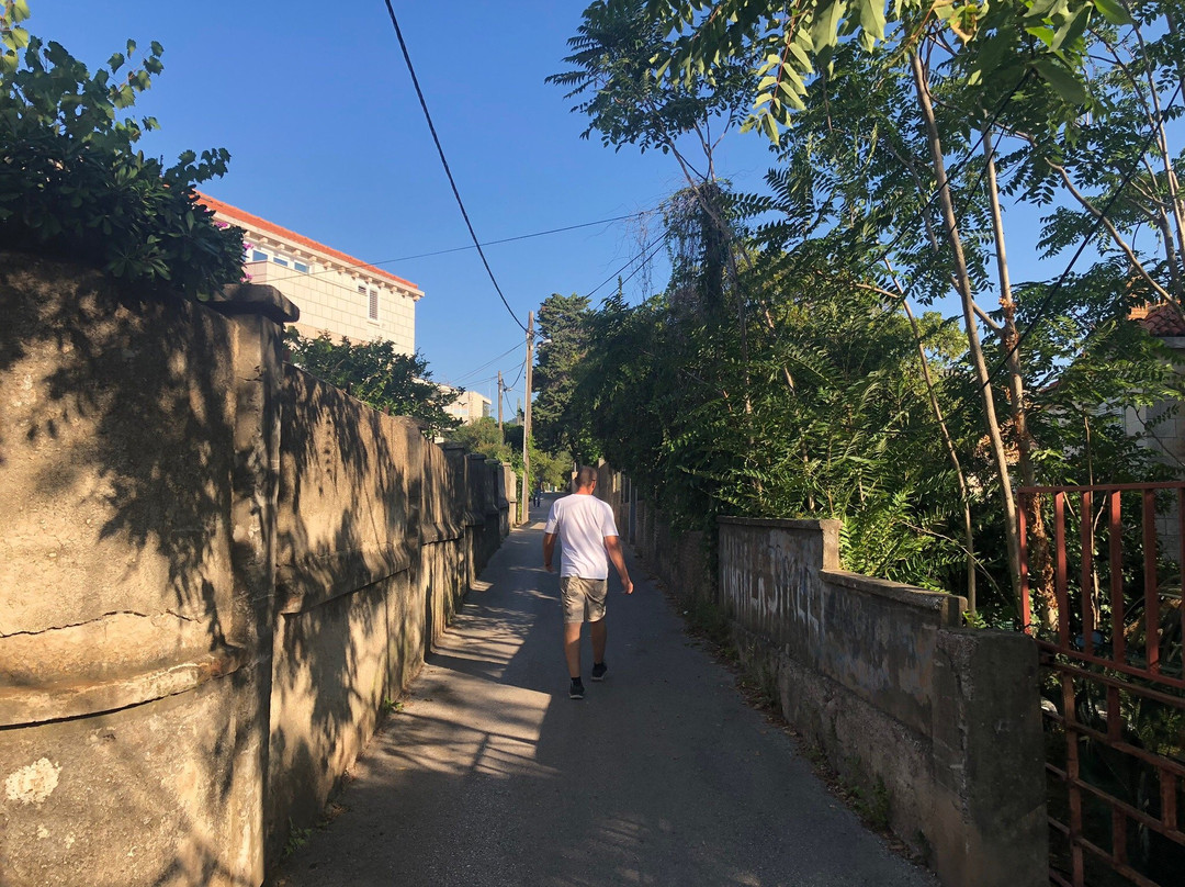 Guest House Radovic主图