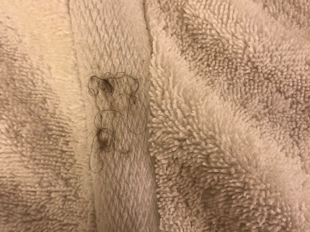 黄石公园狮头速8汽车旅馆主图