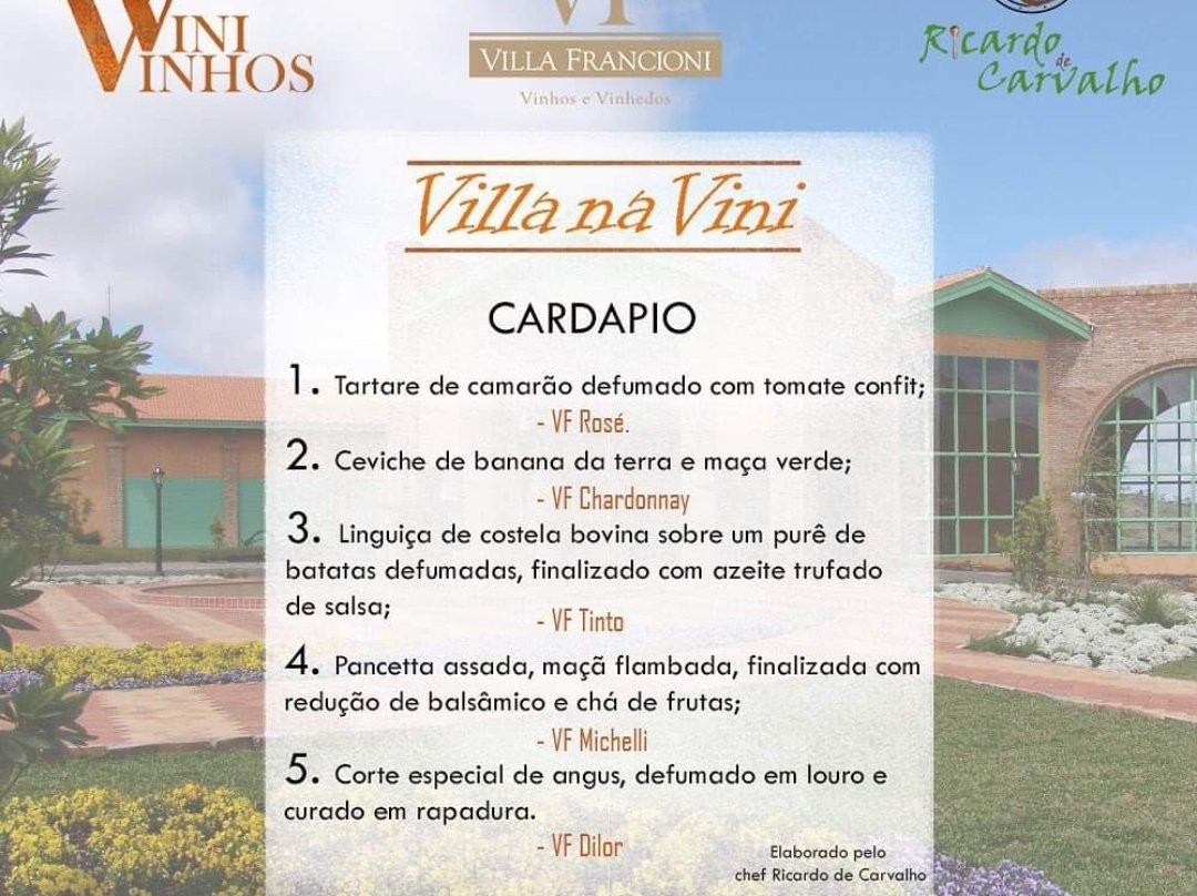 Vini Vinhos