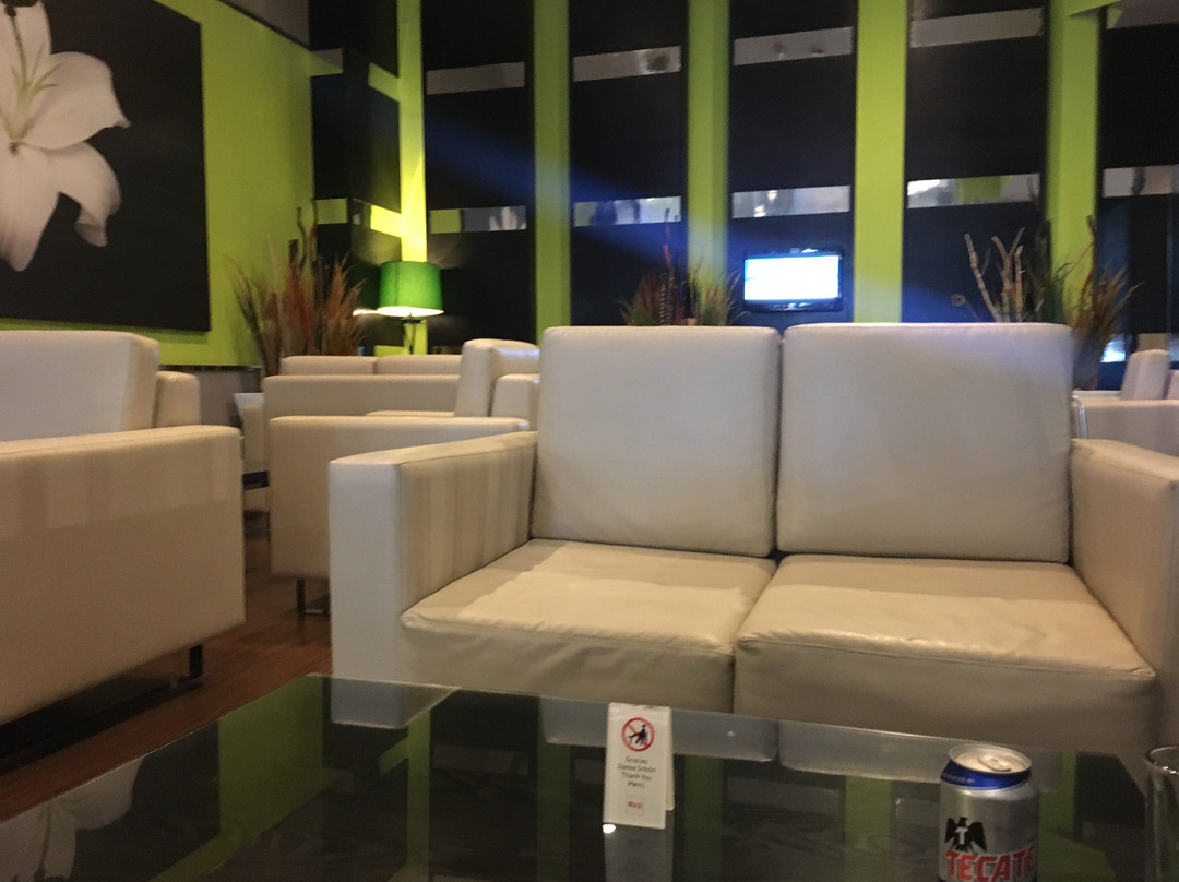 瓜达拉哈拉广场悦宜湾酒店主图
