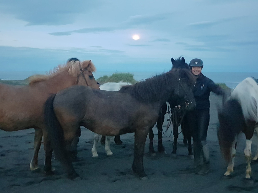 Alhestar Horse Rental and Tours-Thorlakshofn必去景点