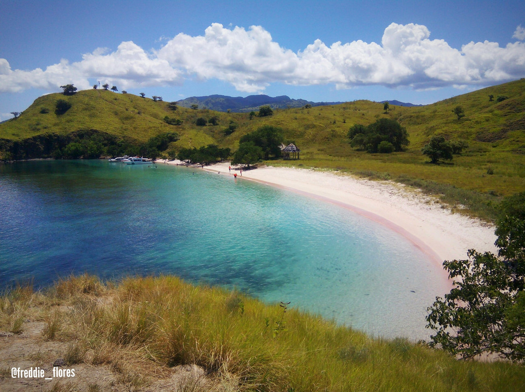 Komodo National Park景点图片