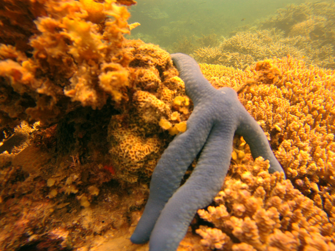 Playa Encantada Beach Resort主图