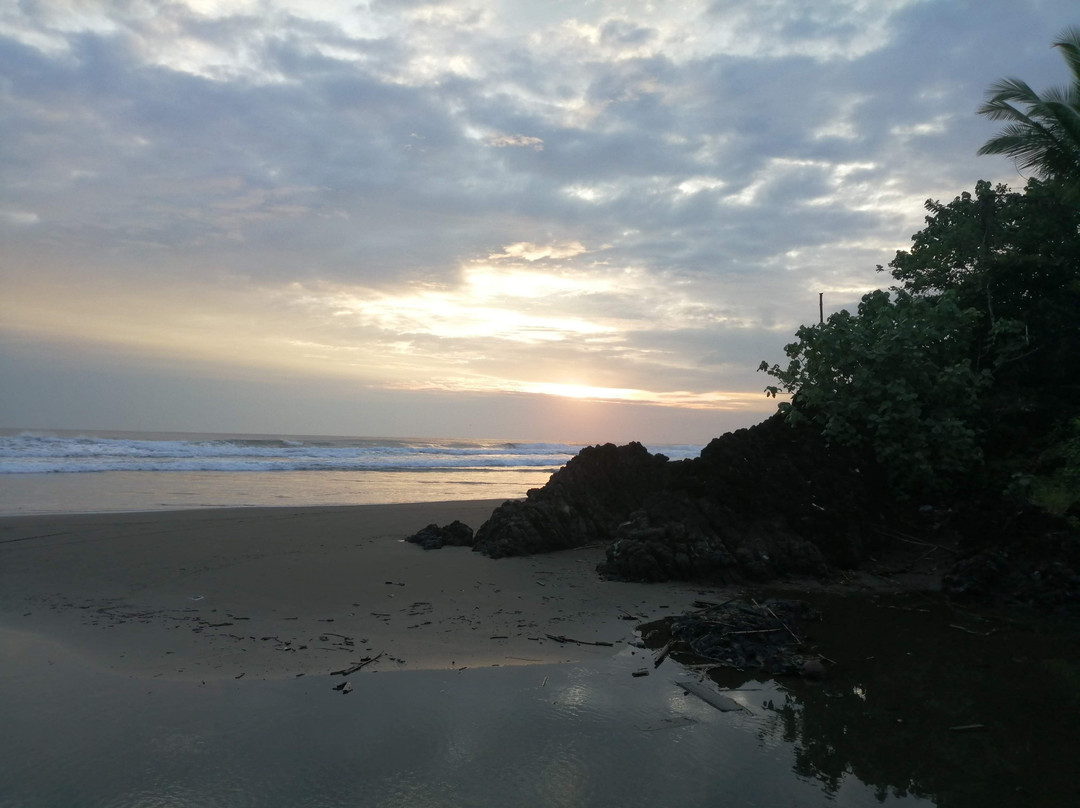 The Pelican House Hostel