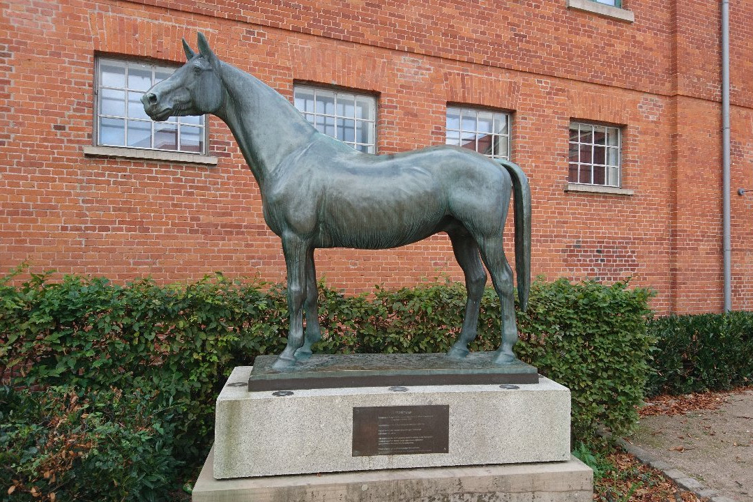 Deutsches Pferdemuseum-Verden (Aller)必去景点