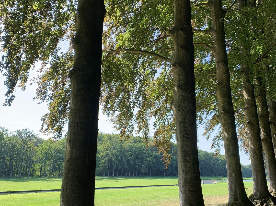 Arboretum Tervuren景点图片