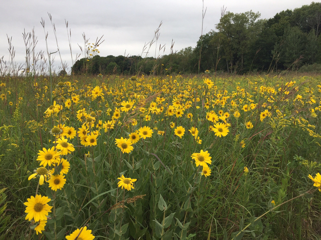 Potato Creek State Park-North Liberty必去景点