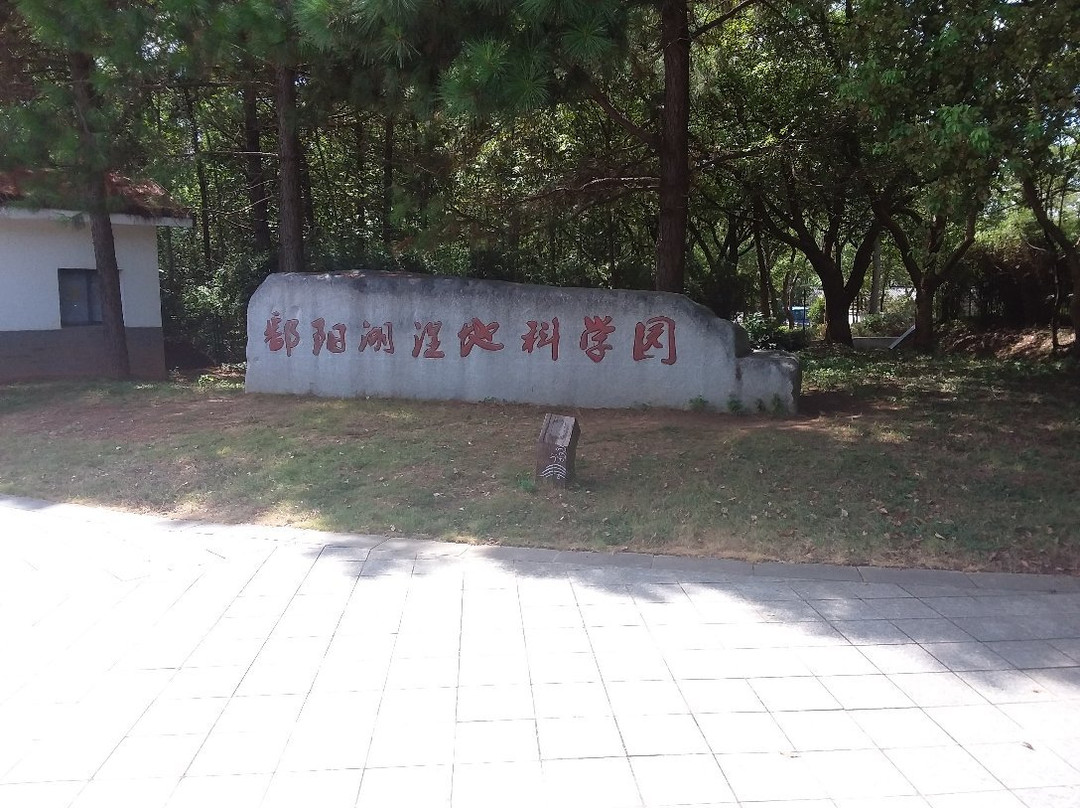 鄱阳湖口国家森林公园景点图片
