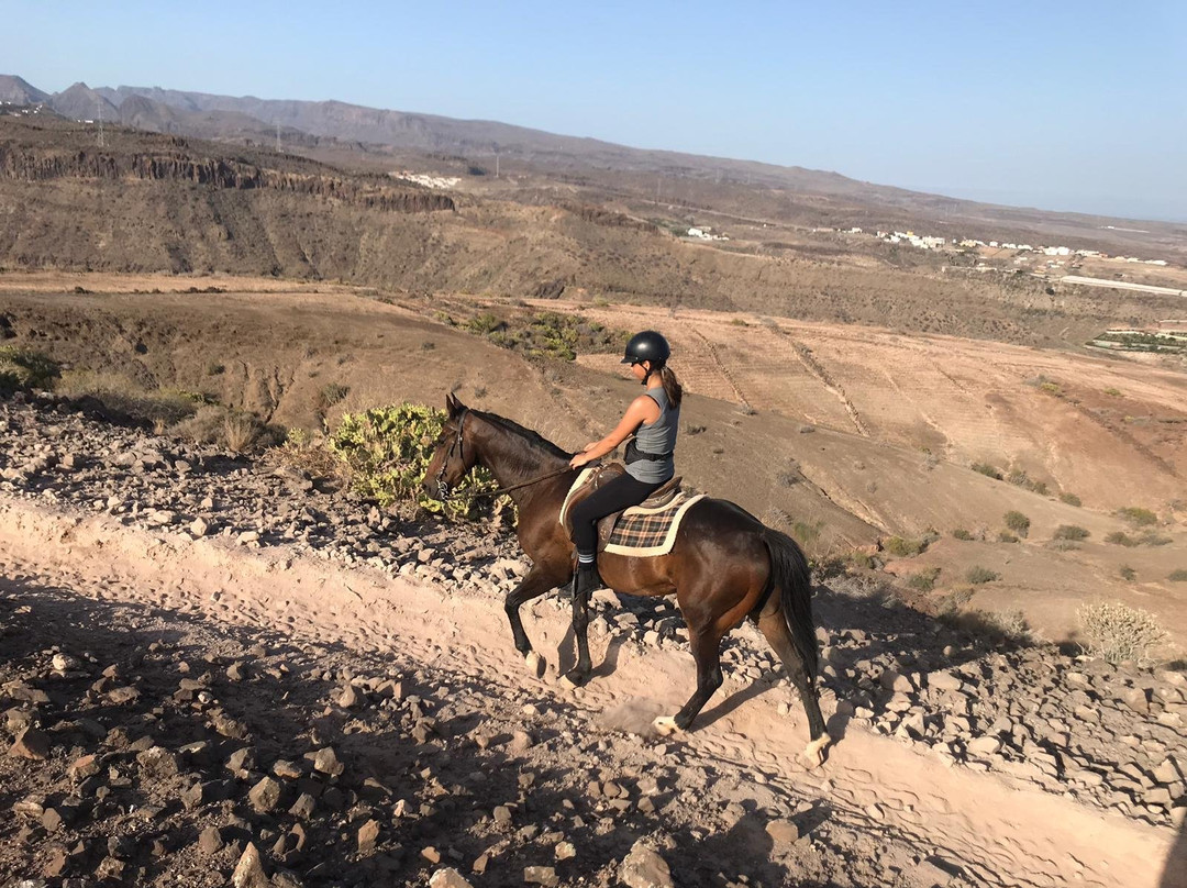 El Salobre Horse Riding景点图片