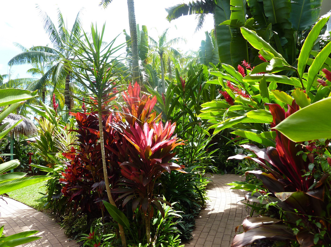 Cairns Beach Resort主图