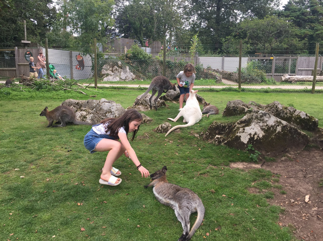 Manor Wildlife Park景点图片