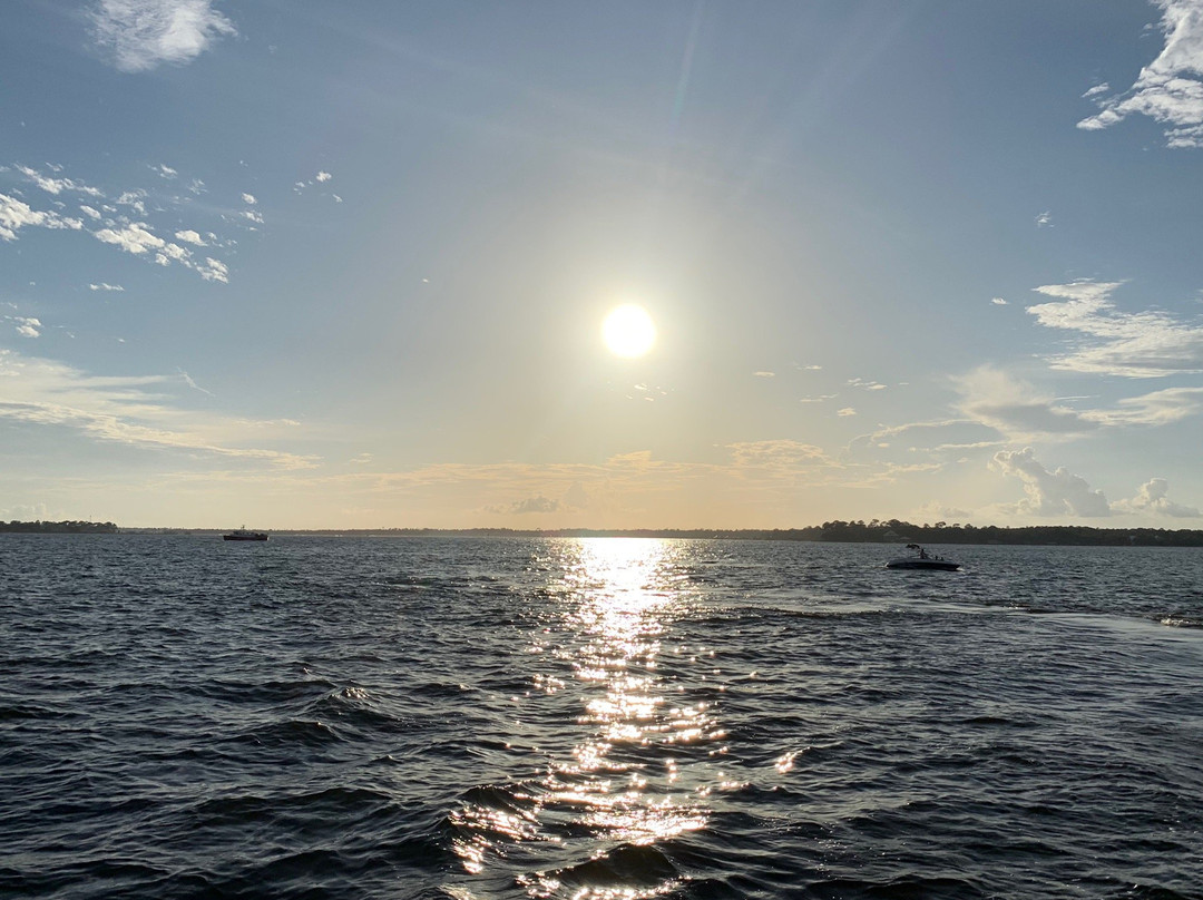 Southern Rose Dolphin Cruises-橙色海湾必去景点