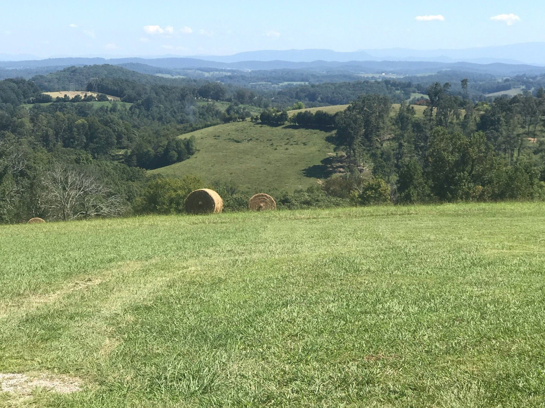 Spout Spring Estates Winery and Vineyard-Blaine必去景点