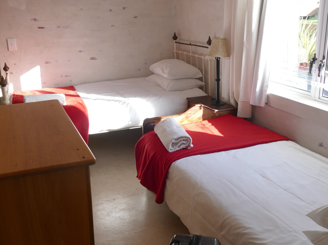 The Flying Penguin主图