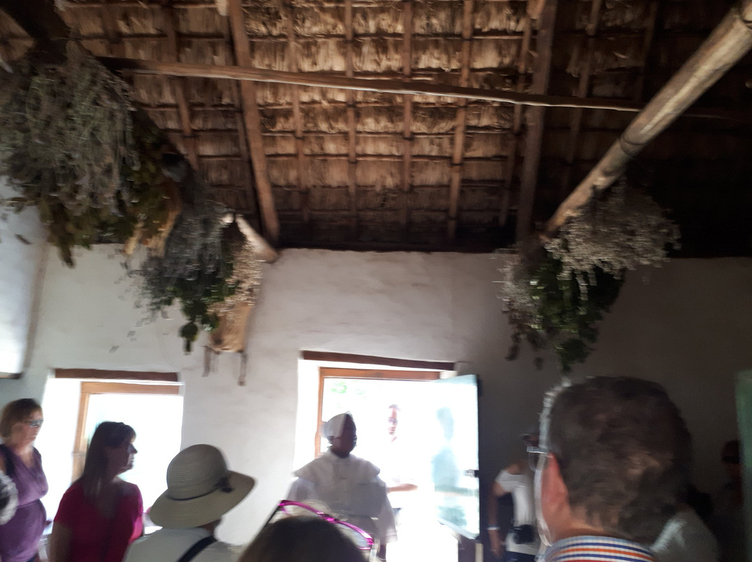 乡村博物馆-斯泰伦博斯必去景点