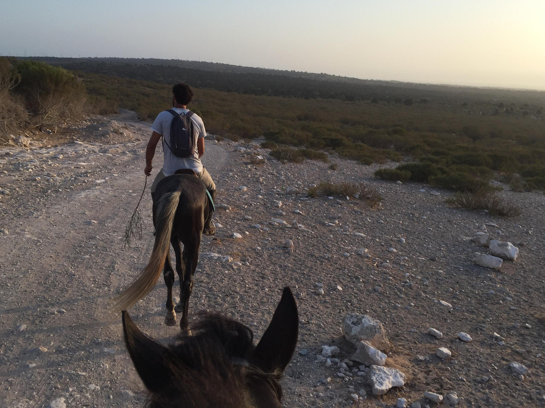 Ranch Aftass-索维拉必去景点