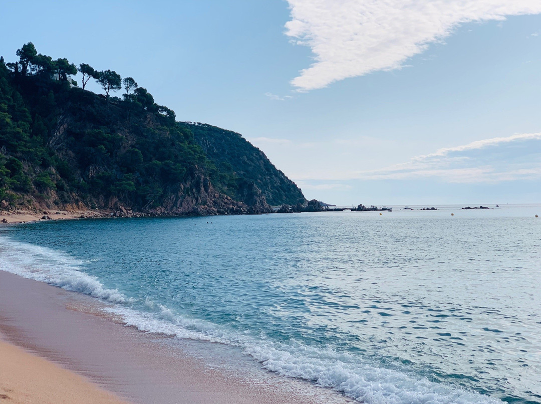 Cala del Senyor Ramon景点图片