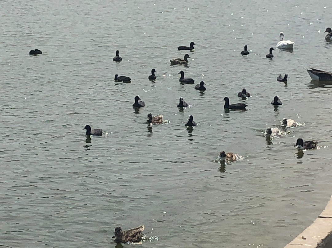Parque de los Lagos-罗塔必去景点