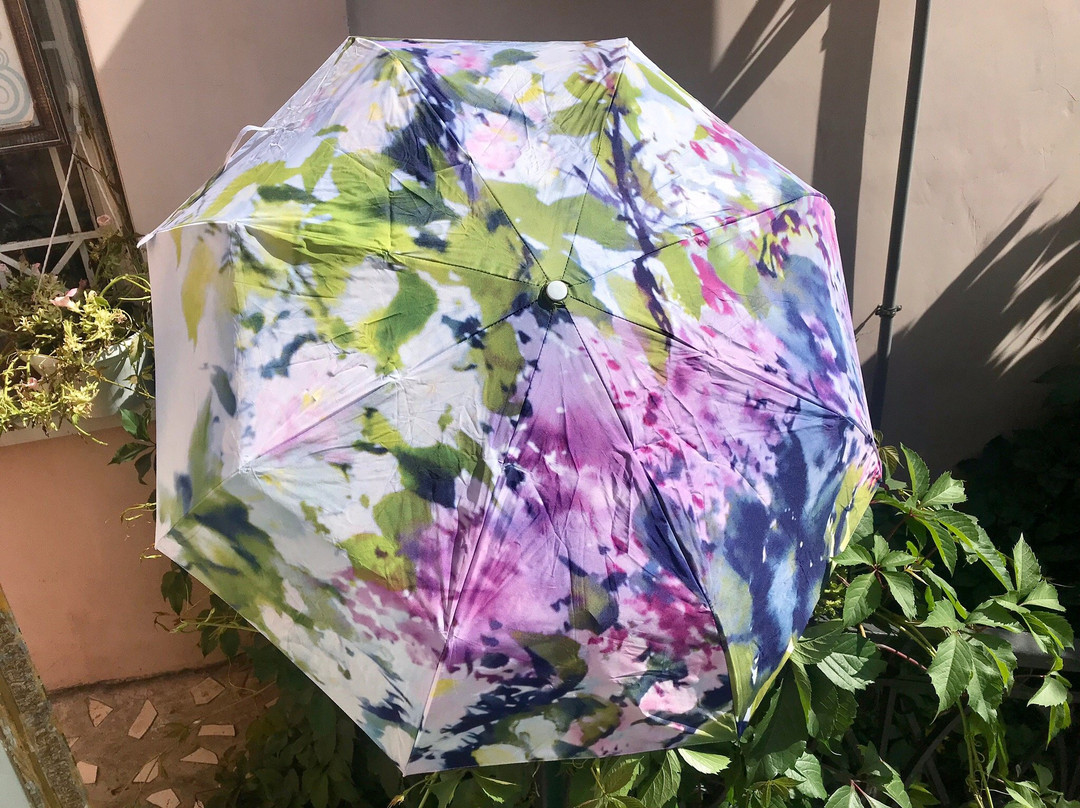 Design Gallery Pereulok Schastya景点图片