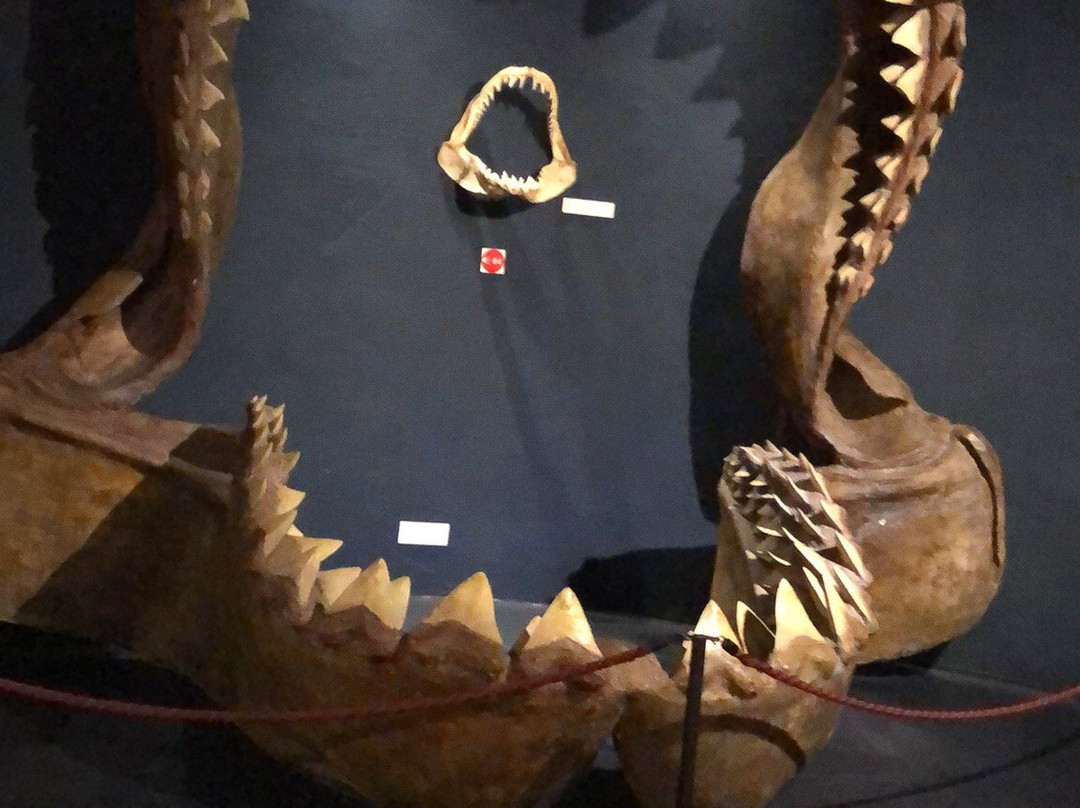 Museo Colchagua-圣克鲁斯必去景点