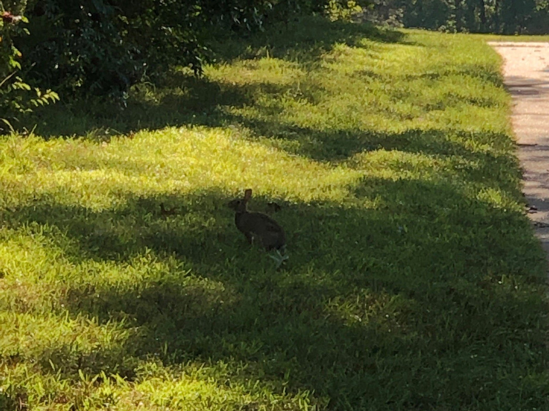 Ber Juan Park-罗拉必去景点