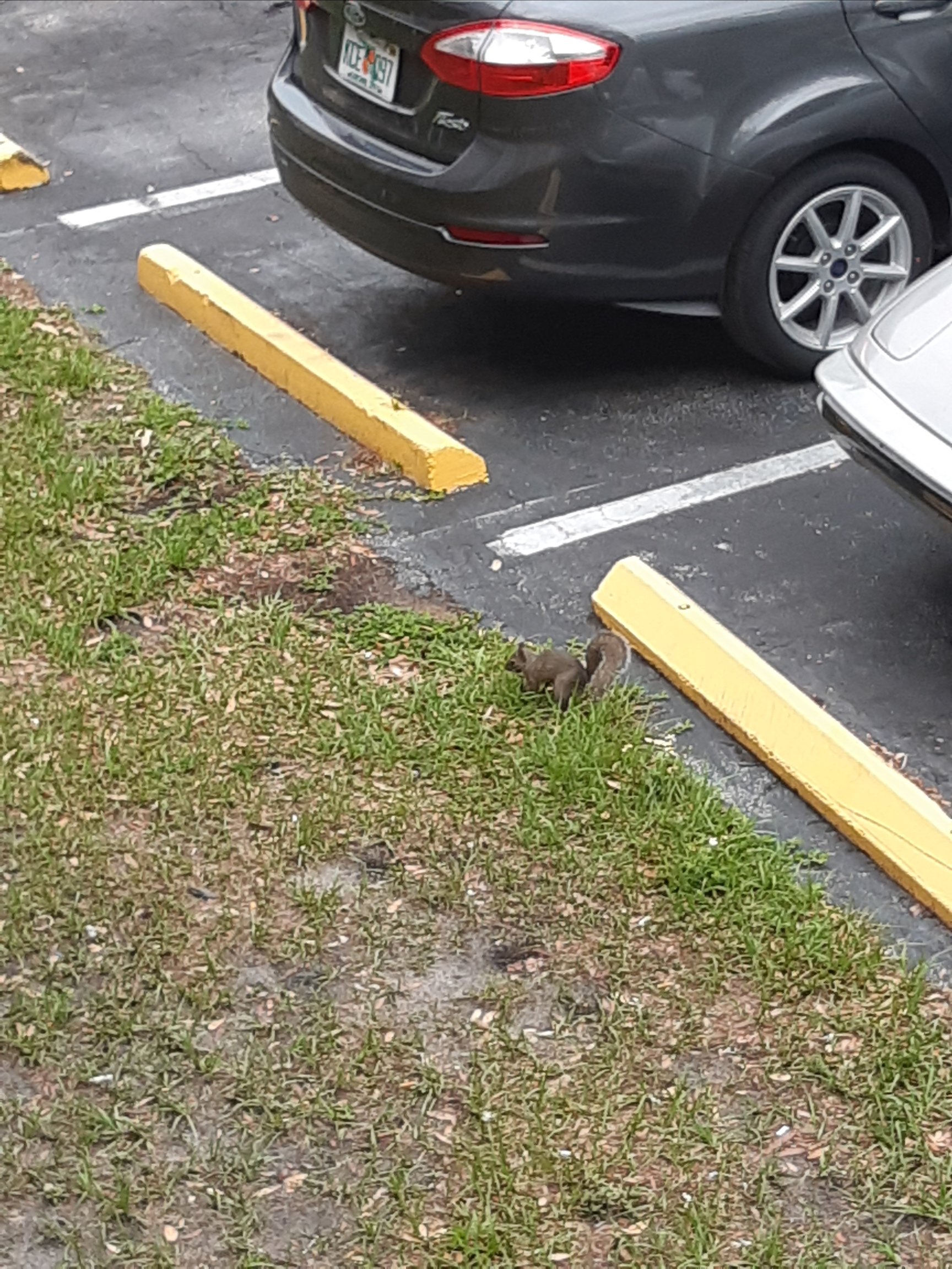 Quality Inn-酒店景观