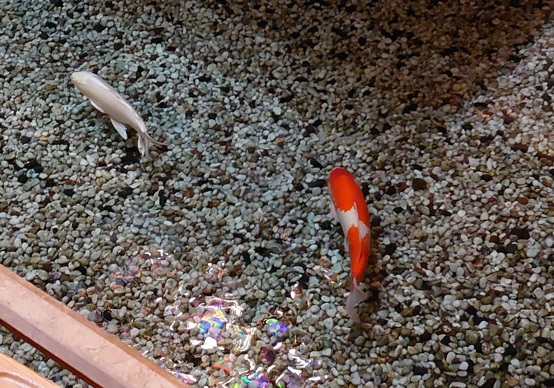 上诹访温泉滨之汤旅馆主图