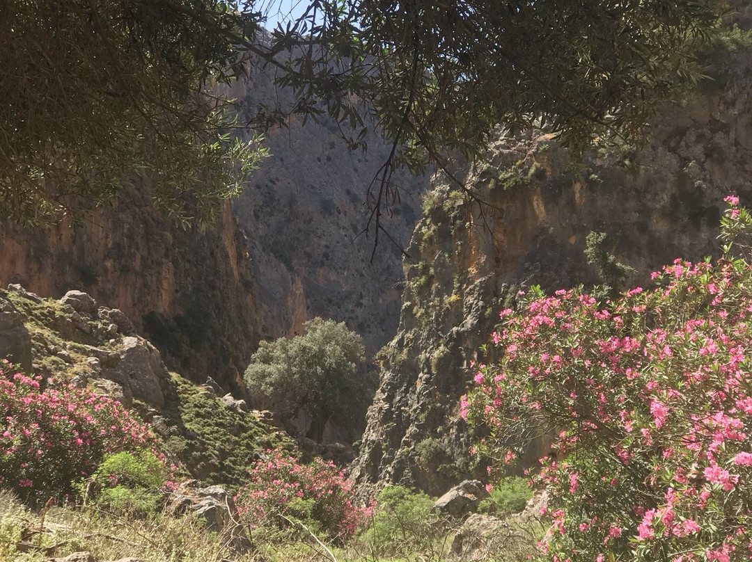 CRETE HORIZON-Kipoi必去景点