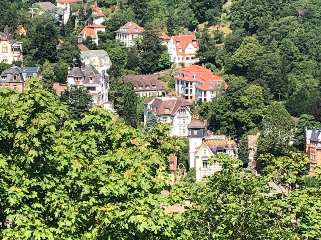 Hotel Die Hirschgasse Heidelberg主图