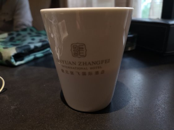 阆中锦元张飞国际酒店主图