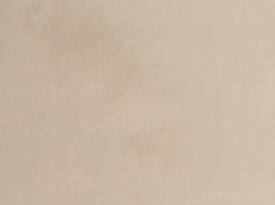 Travelodge Stony Plain主图