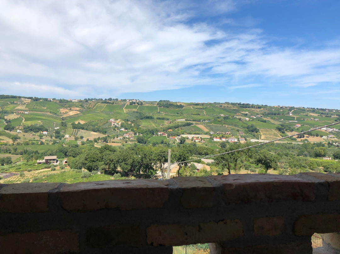 Agriturismo La Valle degli Ulivi主图