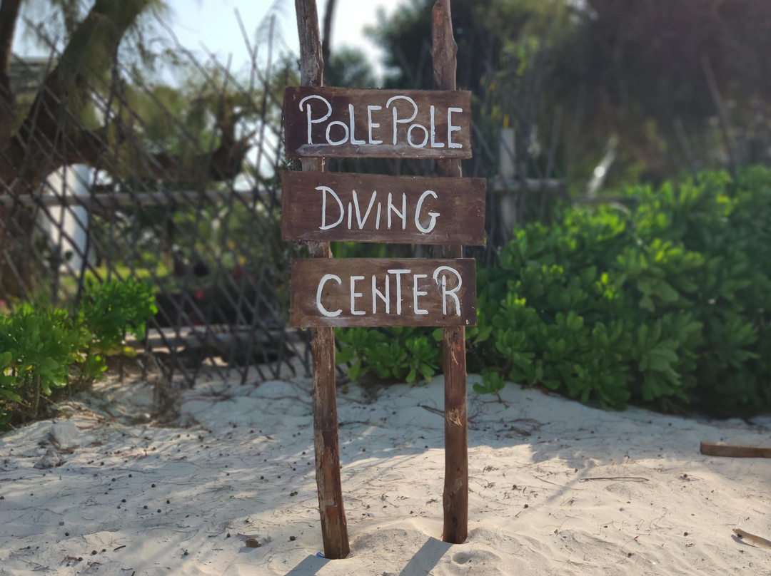 Pole Pole Divers Diving Center景点图片