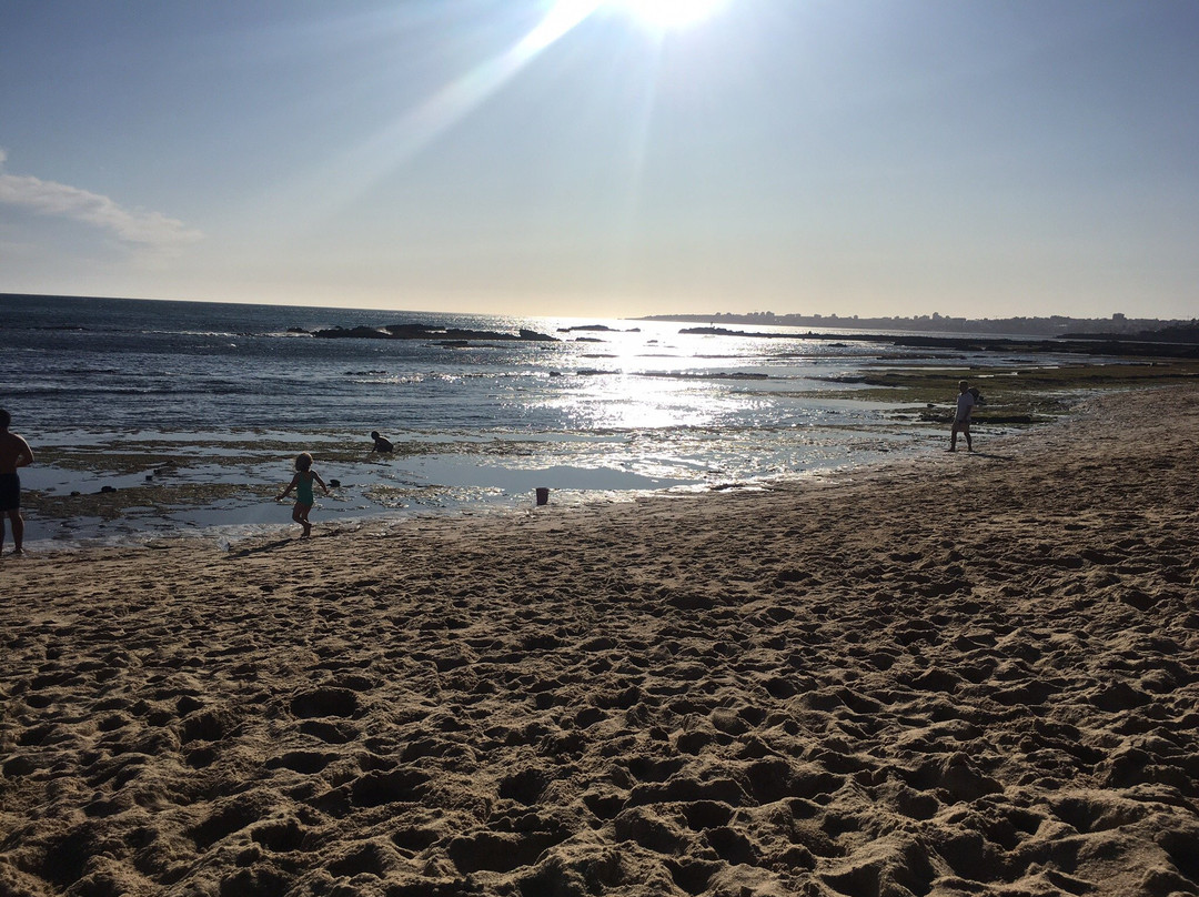 Praia das Avencas景点图片