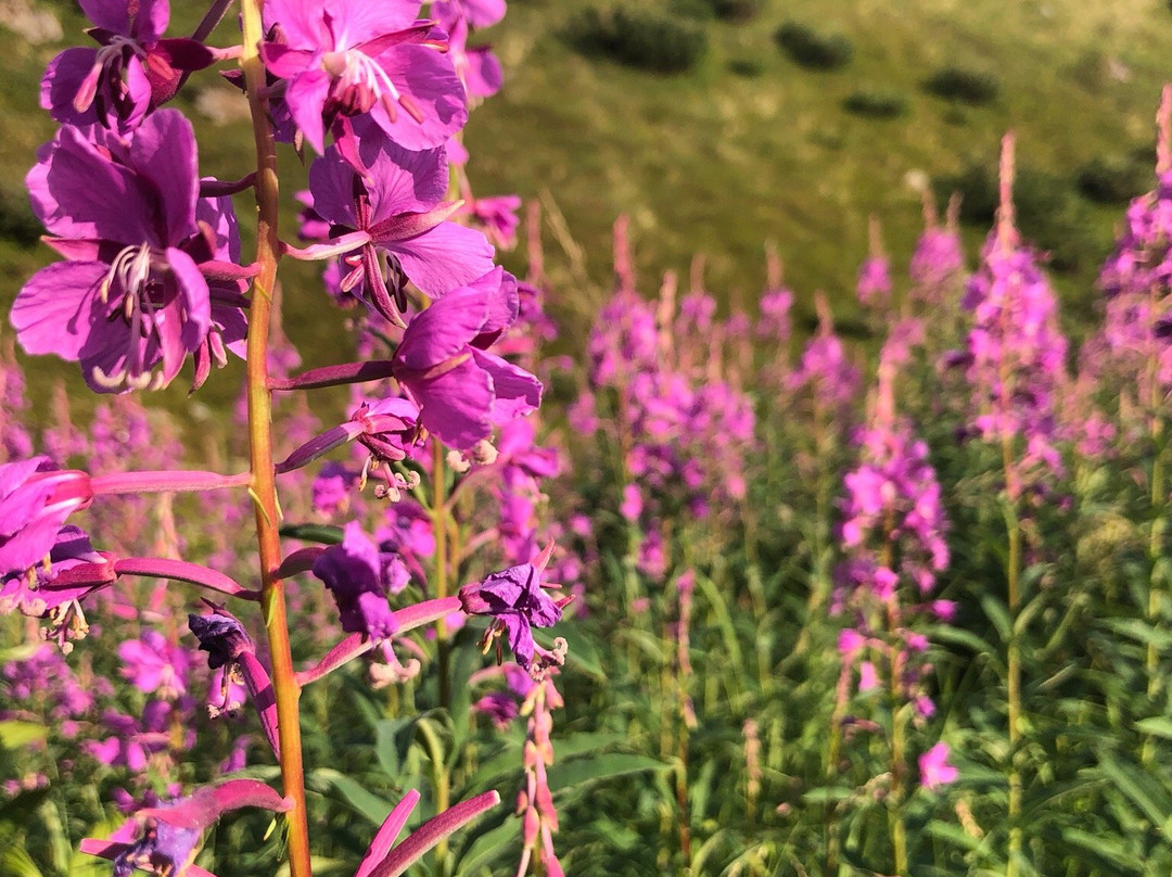 Crow Pass National Historic Trail-安克雷奇必去景点
