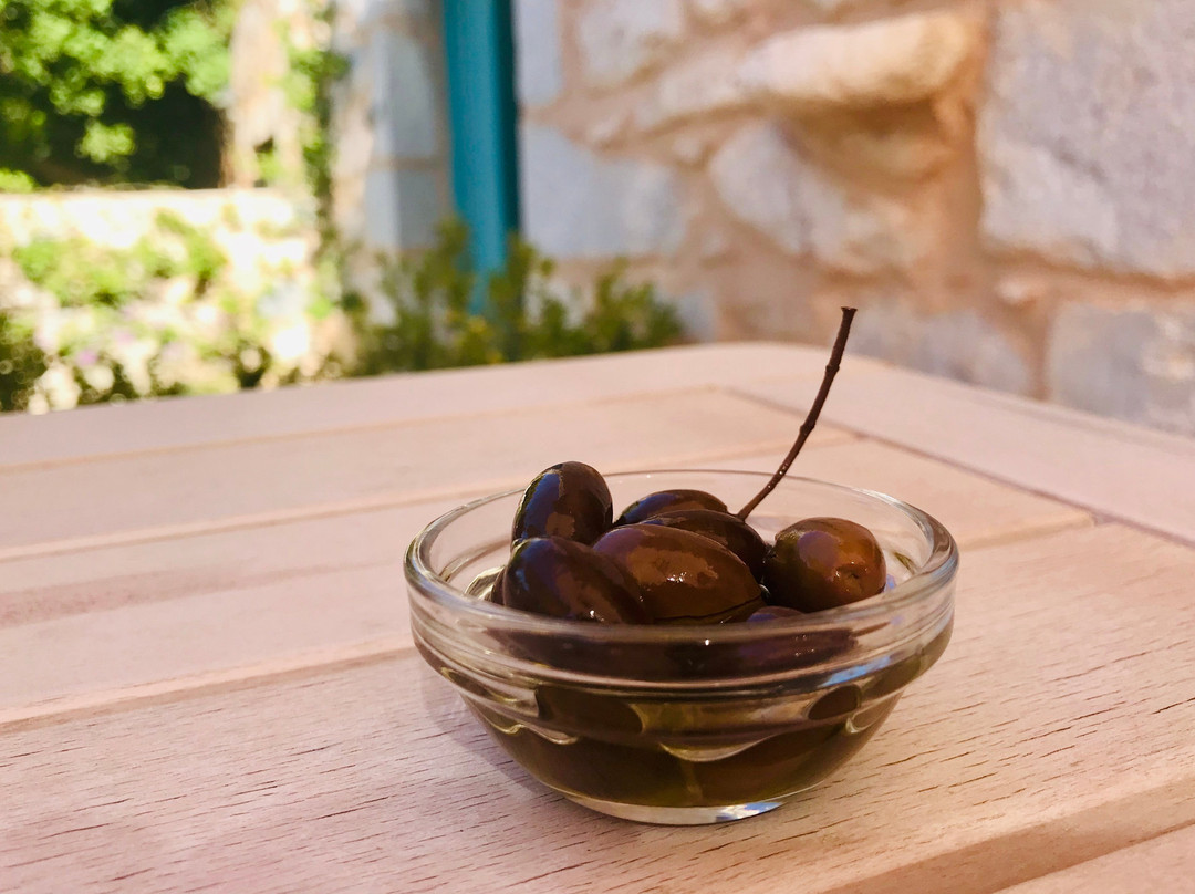 Olea Traditional Guesthouse主图