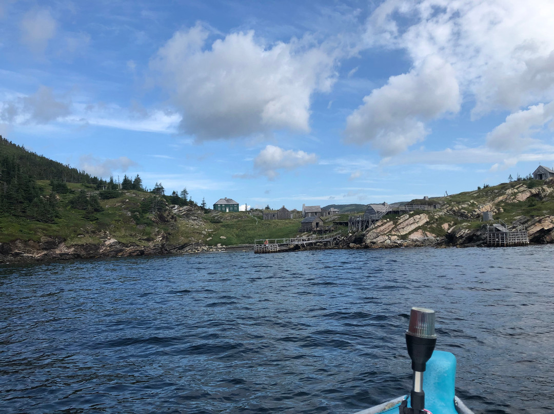 Rugged Beauty Boat Tours景点图片