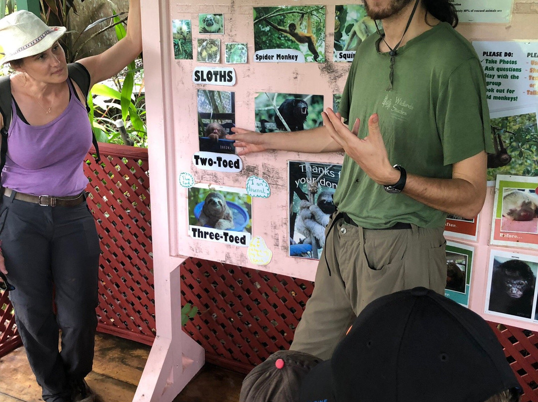 Blue Banyan Inn主图