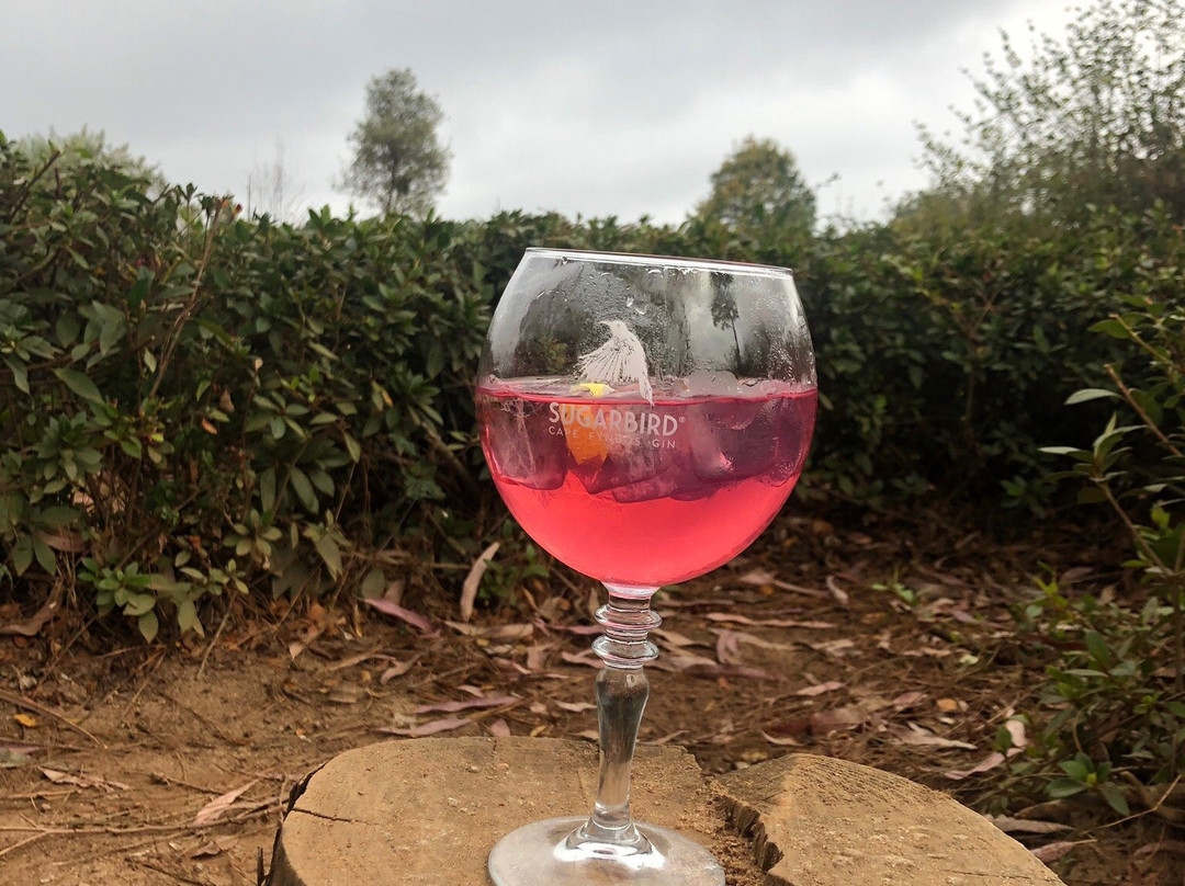 Zwakala Brewery-海纳茨堡必去景点