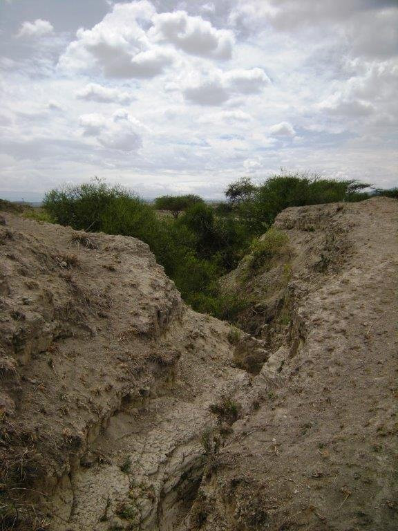Olorgesailie Pre-Historic Site景点图片