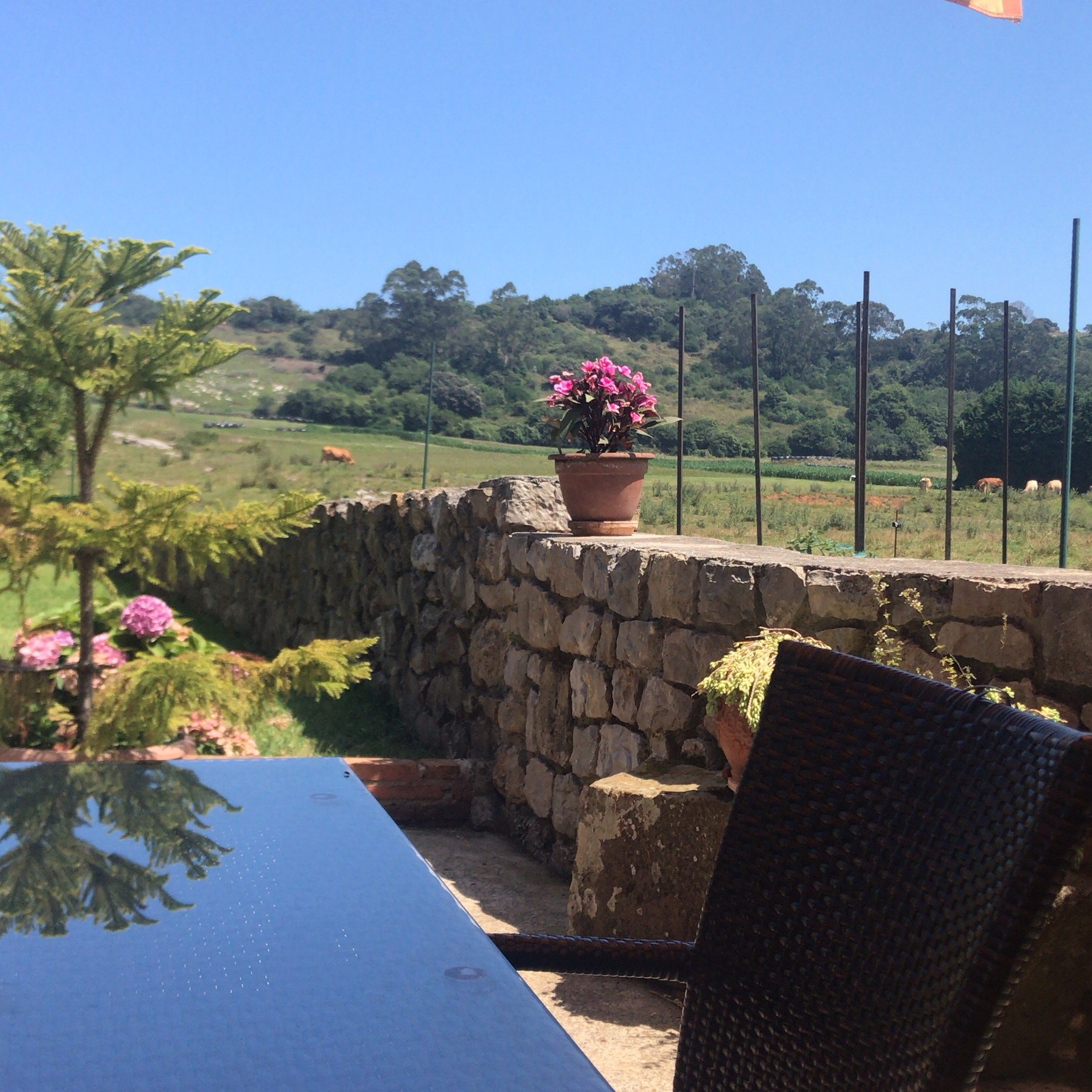 Posada La Roblera-官方