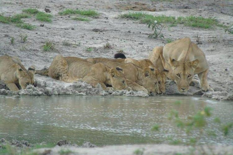 Digitata Tours & Safaris-Iringa必去景点