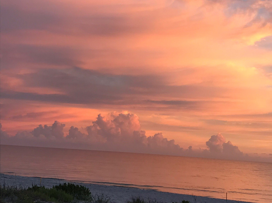 Seafarer Beach Resort主图