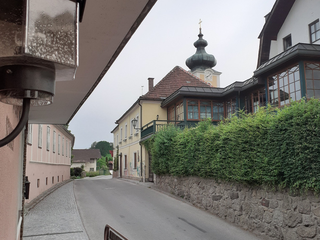 Landgasthof zur Blauen Traube主图